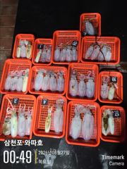 어제 수요일 팁런 조황입니다 사진