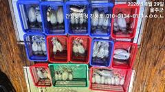 28.팀런초보조사님들전원힛또힛또 ~~ 사진