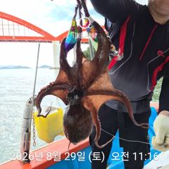 암초 포인트 문어 낚시 사진