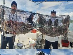 문어,1500,1200외,개인,25수,15수,14수등,왕창,,(예약가능) 사진