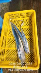 5지 4지 3.5지 여기 보아스호로 사진