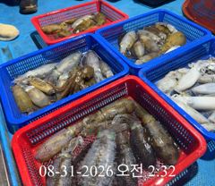 [ 무늬 팁런 ] 연화 욕지권 조황 사진