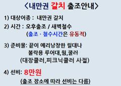 31일,내만갈치 엄청 잡고 입갑이 모자라 조기철수.오늘출항(예약가능) 사진