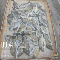 [고성] 병산 감성돔 마리수 선상배 흘림조황~~ 사진
