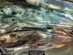 실시간 조황 - 먼바다왕갈치외줄16석 씨알급까지손맛~수요일 오늘5석여유 사진