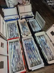 출조안내 - 먼바다 3지,4지급 왕갈치 전원 쿨러조황 오늘 예약가능 사진