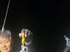 무늬팁런 씨알급들이 달라듭니다~ 사진