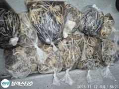 낼 아침 쭈꾸미출조 확정 8자리여유 사진