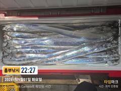 초대박갈치드디어 터졌다 오늘 바리바리 오세요 사진