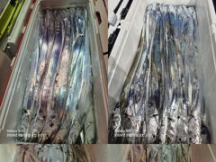 [통영] 통영 영운호 14석 먼바다 대칼치 대박을 기원 하며 기상 좋아 … 사진