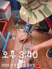 주꾸미출조 사진