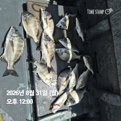 20분전 [진해] 내만갈치 9월3일 전원쿨러 꽉 꽉채우고. 오늘예약가능합니다 사진