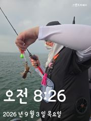 쭈꾸미 사진