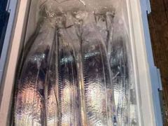 [내만갈치] 씨알 마릿수좋아지네요~!! 금요일 / 토요일 예약가능합니다! 사진