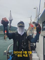 [장흥,완도] 완도덕호 9.3 쭈꾸미 사진