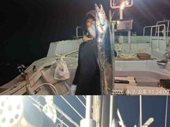 은빛나래피싱 대박입니다. 초저녁부터 폭발적인 소나기 입질에 시원한 도끼입질까지 생미끼에 대갈치 집중공략 사진