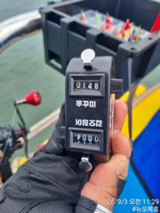 전체조황 - 9/3 11시30분 조황 - 무창포 오복낚시,배낚시,선상낚시 전문 사진