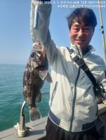 쭈갑조황 글만 보기 사진