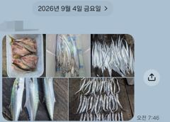 1   [마산] 마산 원전 선상낚시터 목요일 야간 조황 1 사진