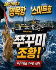 9월4일 스마트1호 쭈꾸미 조황입니다. 사진