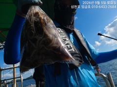 임금호 주꾸미 상위권분들 70~80수 100수이상 가능하십니다 사진