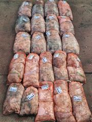 오늘의조황 - 9월5일 대박 조황!!! - 영종도 바다로호,배낚시,선상바다낚시 사진