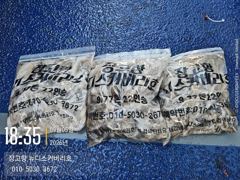 9월5일쭈꾸미오후짬낚시조황입니다 사진