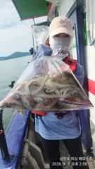 (南)남해조황 - 쭈꾸미가 버글버글!!먹물 칠갑하러 가입시다. 사진