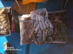 쭈꾸미 낚시 사진