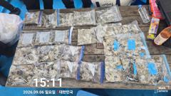 9월6일 쭈 조황입니다 사진