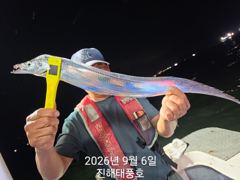 6일 입항 내만갈치 담배갑 사이즈까지 엄청 잡았습니다. 오늘 예약가능. 사진
