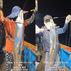 출조안내 - 영구낚시... 9월 16일(수) 고흥 갈치 .... 9월 19일(토) 여수 갈치 .... 9월 9일(수) 홍원항 쭈꾸미 .... 9월 12일(토) 홍원항 쭈꾸미 사진