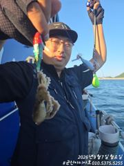 [군산아시아호] 주꾸미 실시간 9/7 사진