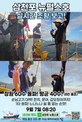 쭈꾸미 실시간 삼천포 뉴펄스호 사진