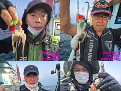 레인보우호 쭈꾸미 실시간 조황(7일) 사진