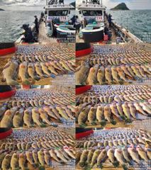 ♥붉바리들..이정도는 잡아봐야지요 초초대박 붉바리조황입니다[2026년09월07일] ◎ 해마루호가 뜨는이유? 조황때문이죠 ◎ 핵심포인트: 바로진입.. 바로히트.. ▣ 차원이 다른 조황으로 모십니다 ▣ 요즘 붉바리낚시가 대세입니다 사진
