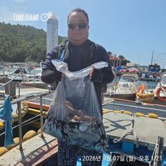 완도은솔호 문어 마리수 조황입니다 사진