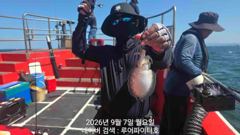 루어파이터호-9/7 월 [2물] 쭈꾸미/갑오징어 조항 입니다. 사진