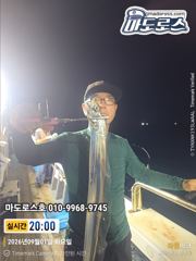 금요일부터 소수인원도 출항합니다 사진