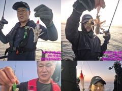 (西)서해조황 - 레인보우호 쭈꾸미 실시간 조황(8일)-내일 종일 자리있음 사진