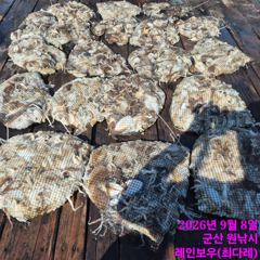 <레인보우호> 쭈꾸미 종일 마무리 굿~조황(8일)-내일 쭈꾸미 자리있습니다. 사진