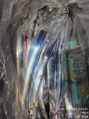 갈치한치조황++ - 내만갈치~씨알급갈치!우당탕탕!엄청잡아!수요일출항(수,목,금예약가능) 사진