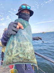 9월8일인천배낚시덕적호쭈갑조황사진1부 사진