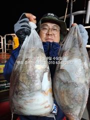 9월8일 굿조황 군산 홈런호 야간문어 마무리 조황 입니다. 오늘도 변함없이 악조건속에서 조사님들 수고 하셨습니다. 사진