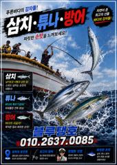 지속된 북동기류, 대삼치 포인트 상황! (금욜부터 출항 가능해요) 사진