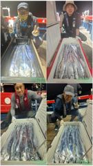 백도권!! 풍성한 갈치로 쿨러가득!! 사진