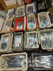 갈치한치조황++ - 준내만 갈치 텐빈 다시 돌아오는 4지급 갈치가득 조황 일요일부터 예약가능 사진