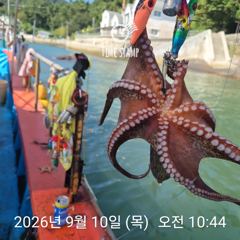 [사천] 암초 포인트 문어 낚시 사진