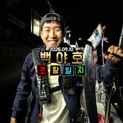 9.10 제주백야호 선상 한치.갈치 조황 사진