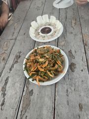 버글버글 감성돔 사진